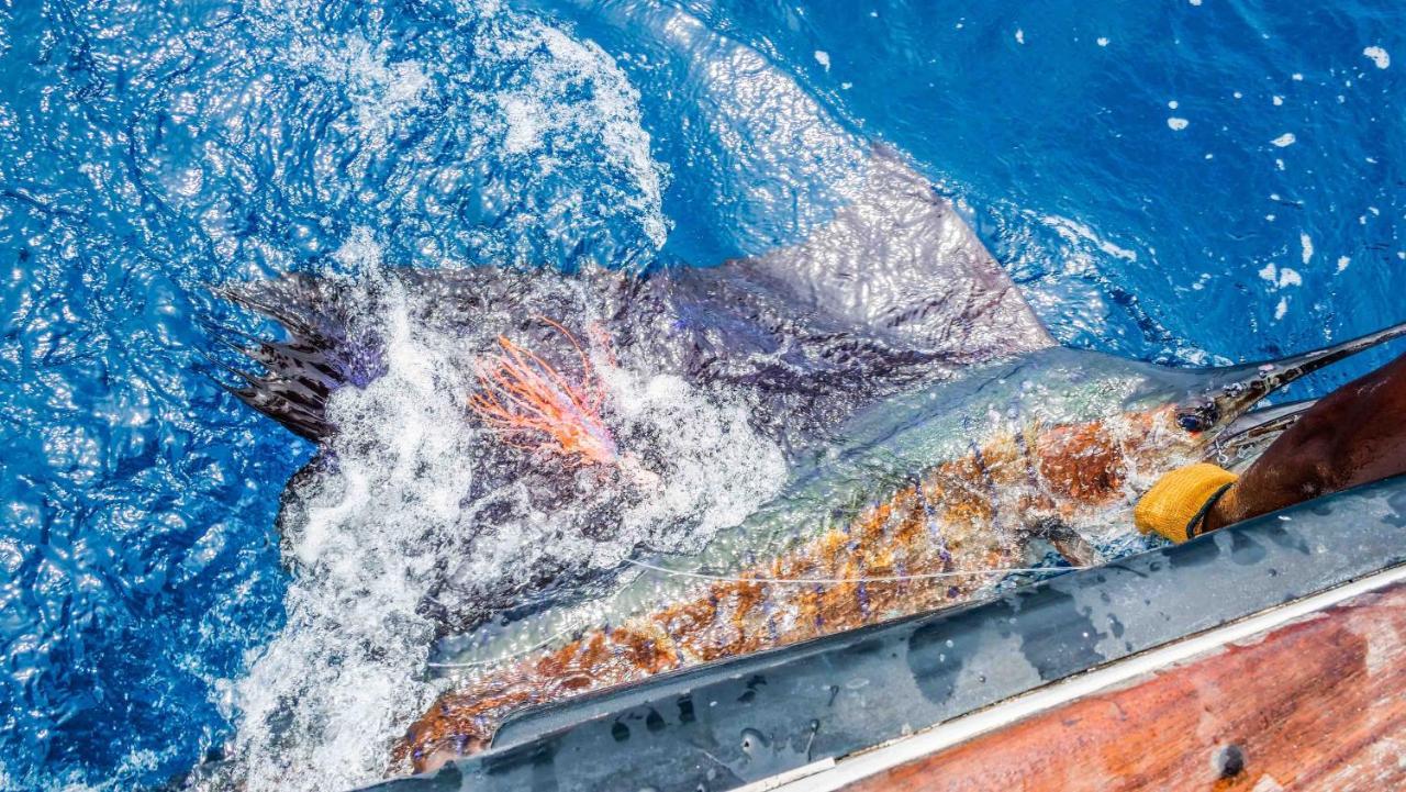 Willa Manda Bay Lamu Zewnętrze zdjęcie