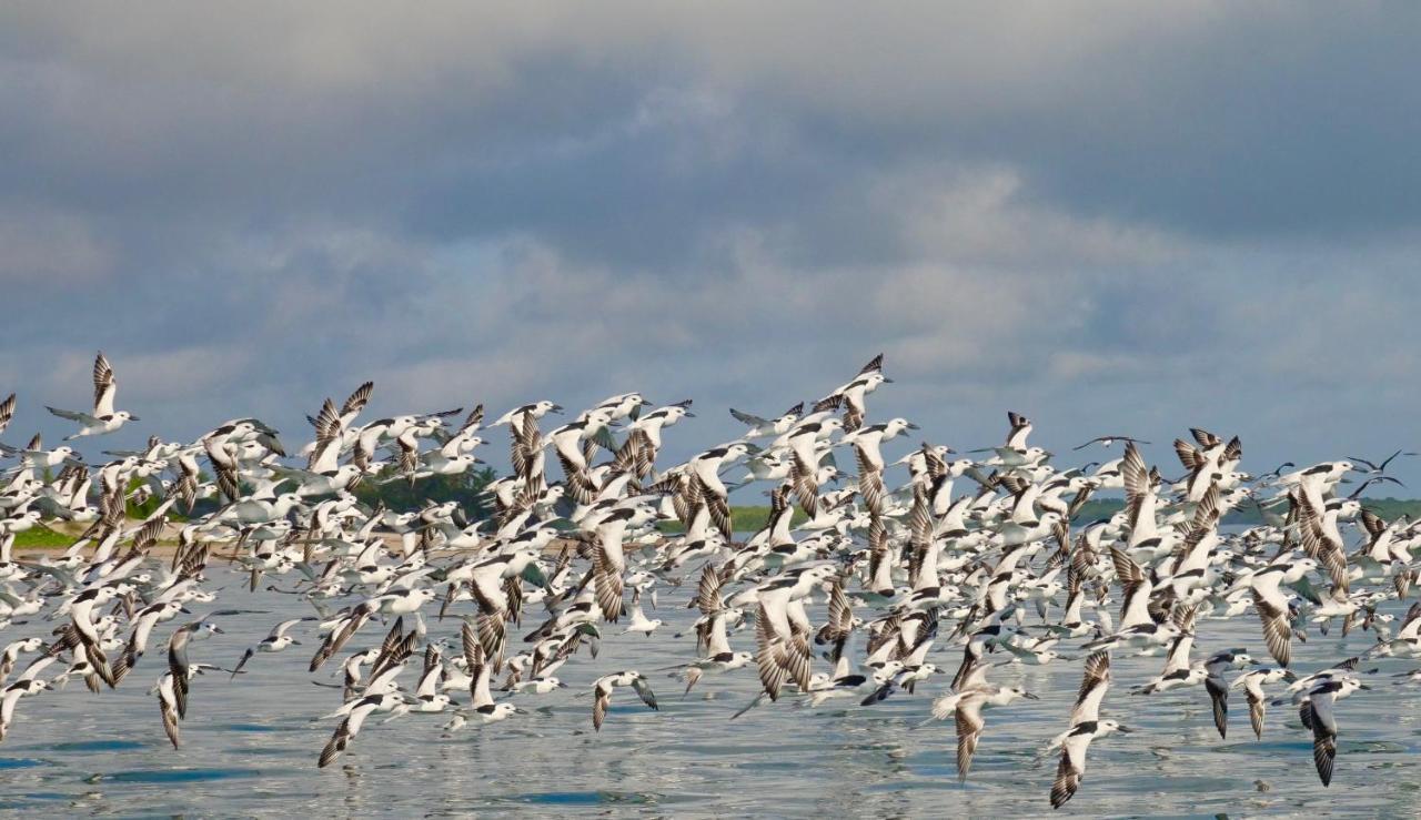 Willa Manda Bay Lamu Zewnętrze zdjęcie